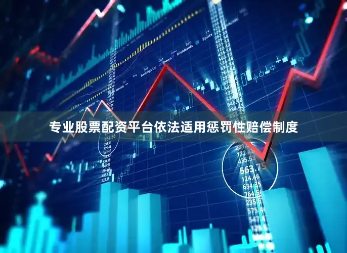 专业股票配资平台依法适用惩罚性赔偿制度