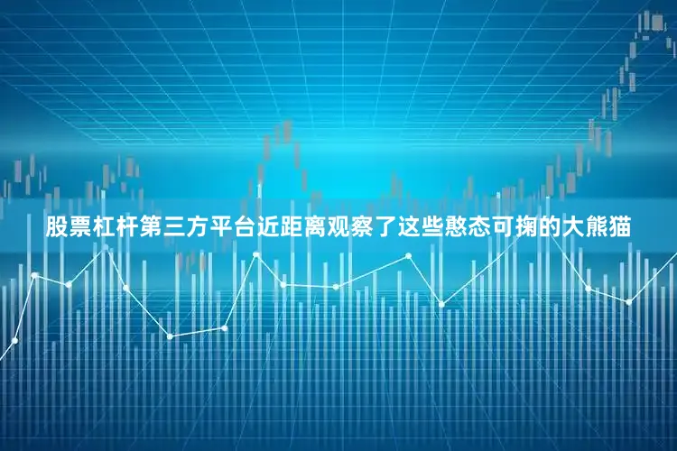 股票杠杆第三方平台近距离观察了这些憨态可掬的大熊猫