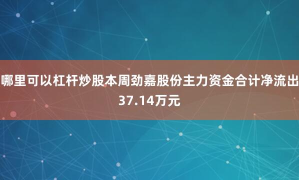 哪里可以杠杆炒股本周劲嘉股份主力资金合计净流出37.14万元