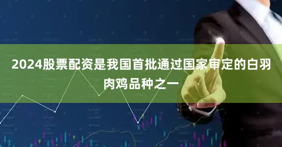 2024股票配资是我国首批通过国家审定的白羽肉鸡品种之一